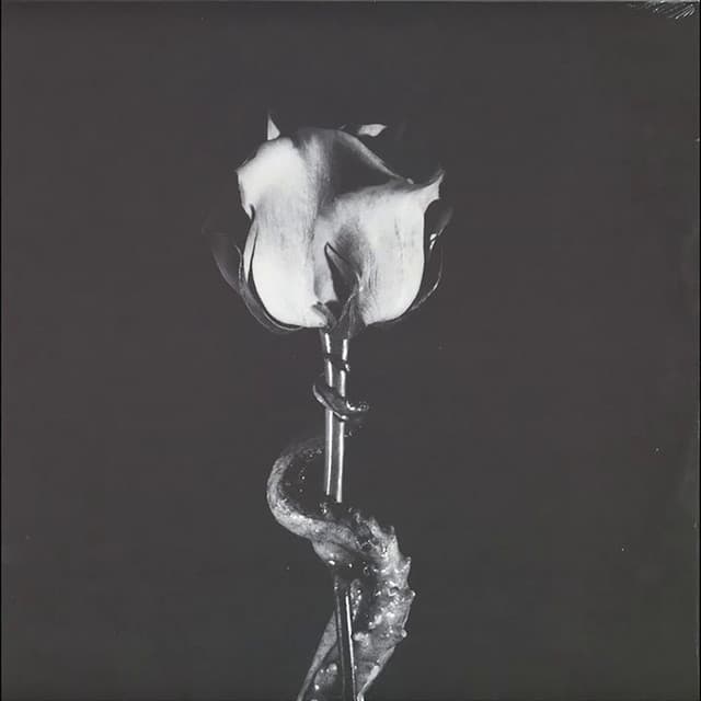 Cover Image of release - K