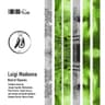 Luigi Madonna Best of Classics cover