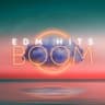 Boom EDM Hits cover