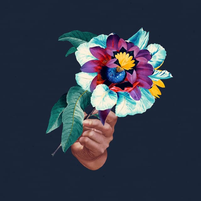 Cover Image of release - Kingdoms In Colour Remixed