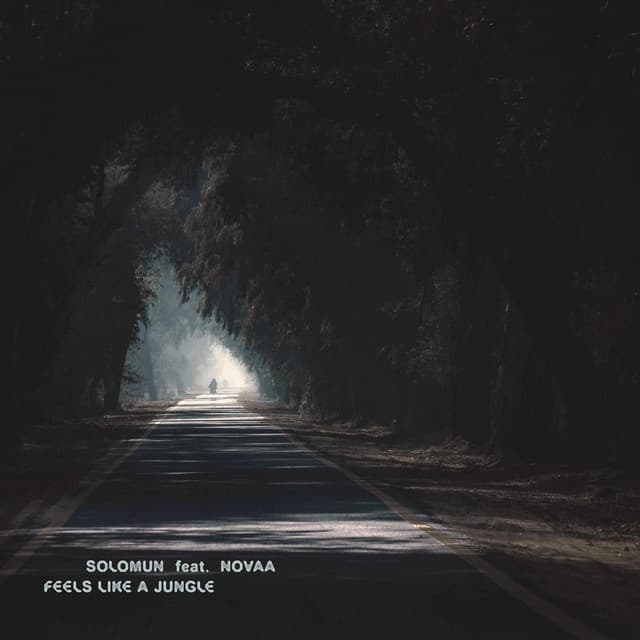 Cover Image of release - Feels Like A Jungle