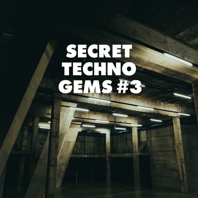 Cover Image of release - Secret Techno Gems #3