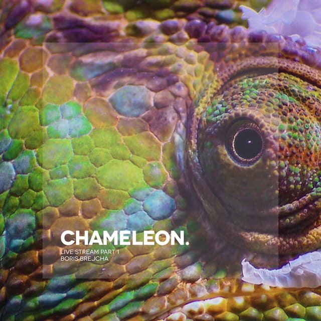 Cover Image of release - Chameleon