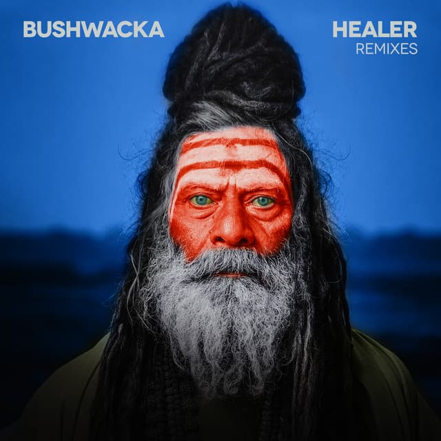 Cover Image of release - Healer (Remixes)