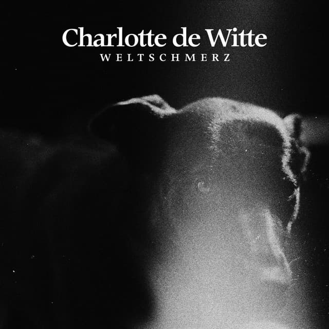 Cover Image of release - Weltschmerz