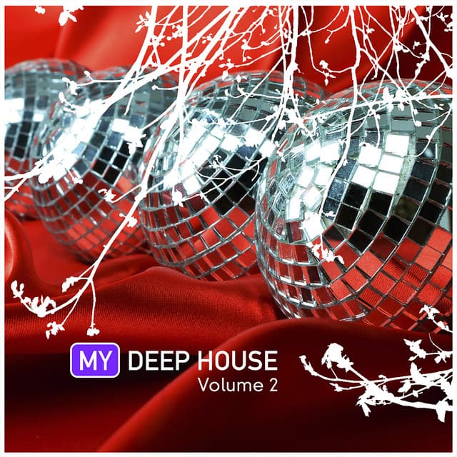 Cover Image of release - I Got a Feeling (Solomun Remix)