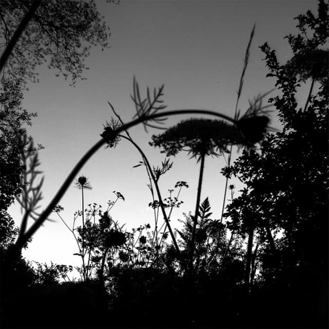 Cover Image of release - 10 Years Affin (Remixed)