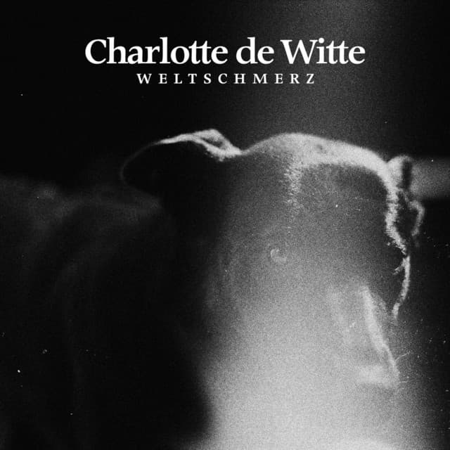 Cover Image of release - Weltschmerz