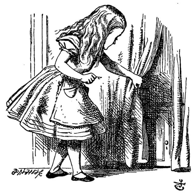Cover Image of release - Curtain Twitcher (Nina Kraviz Alice Was Here Remix)