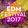 EDM Festival 2017 cover