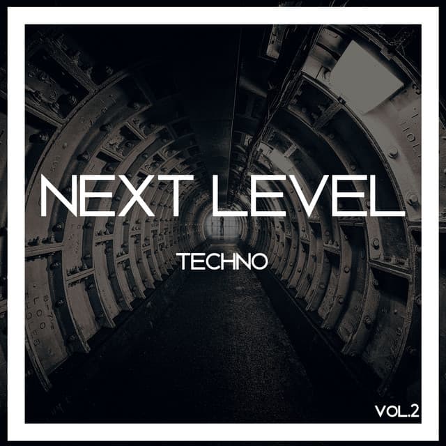 Cover Image of release - Next Level Techno, Vol. 2