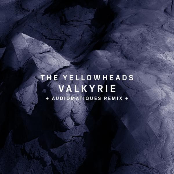 Cover Image of release - Valkyrie
