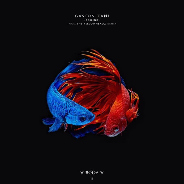 Cover Image of release - Boiling