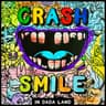 Crash & Smile in Dada Land - December cover