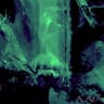 Perfect Disorder (Roger Lavelle Remix) cover