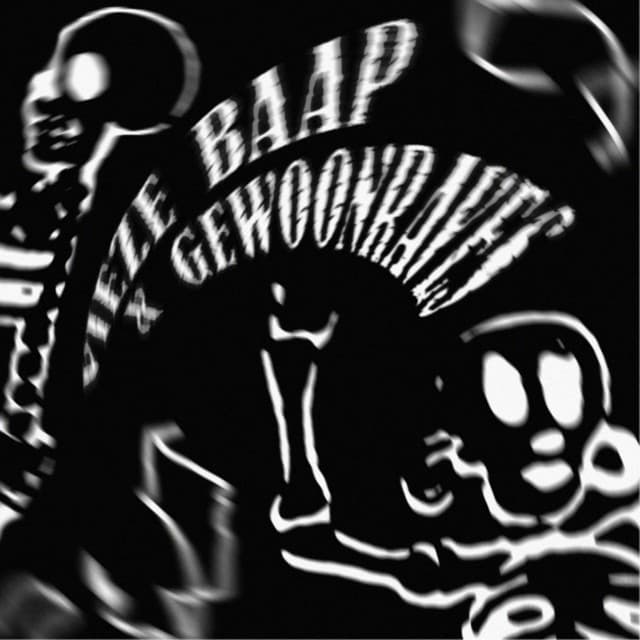 Cover Image of release - Vieze Baap