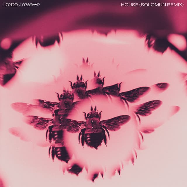 Cover Image of release - House (Solomun Remix)