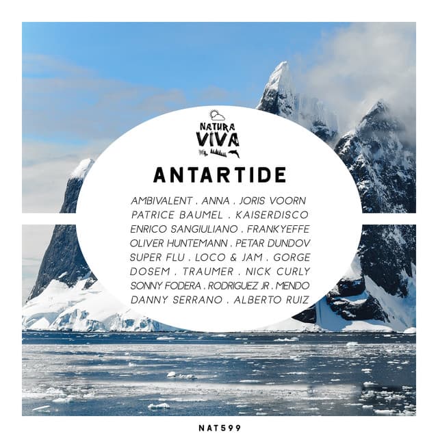 Cover Image of release - Antartide