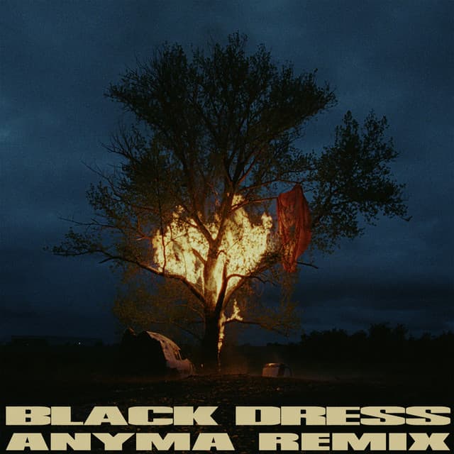 Cover Image of release - Black Dress (Anyma Remix)