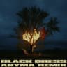 Black Dress (Anyma Remix) cover
