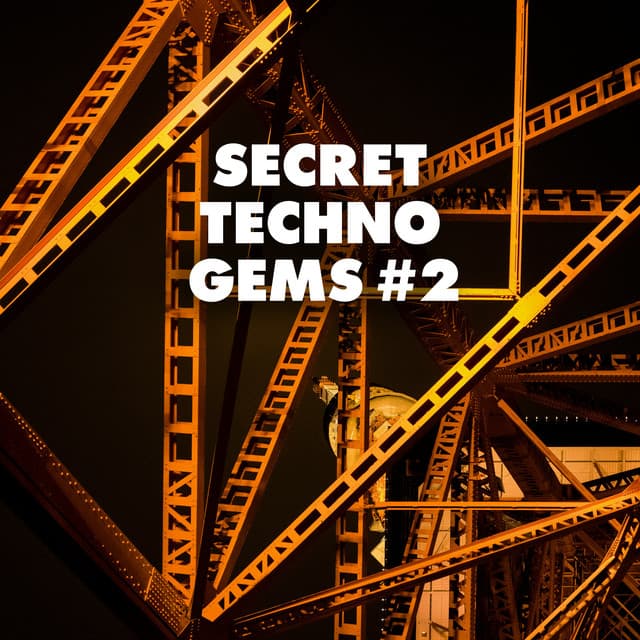Cover Image of release - Secret Techno Gems #2