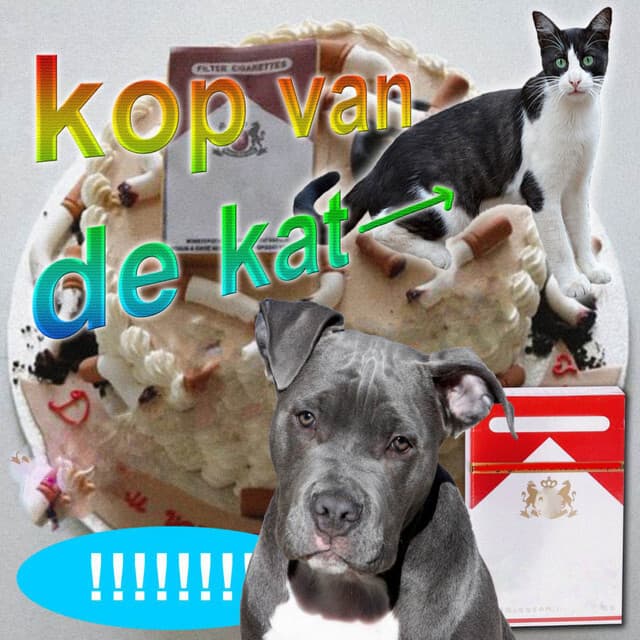 Cover Image of release - Kop Van De Kat