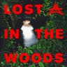 Lost In The Woods cover