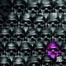 Herdersmat Part 1-7 cover