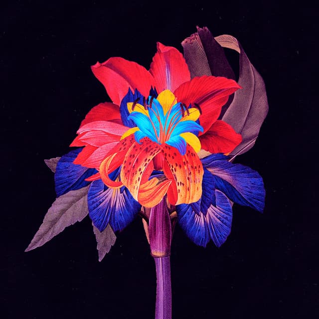 Cover Image of release - Nervous Tics (Maceo Plex Remix)