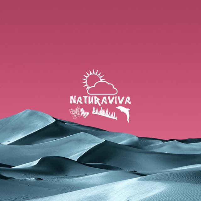 Cover Image of release - A Journey Through the Valley 2