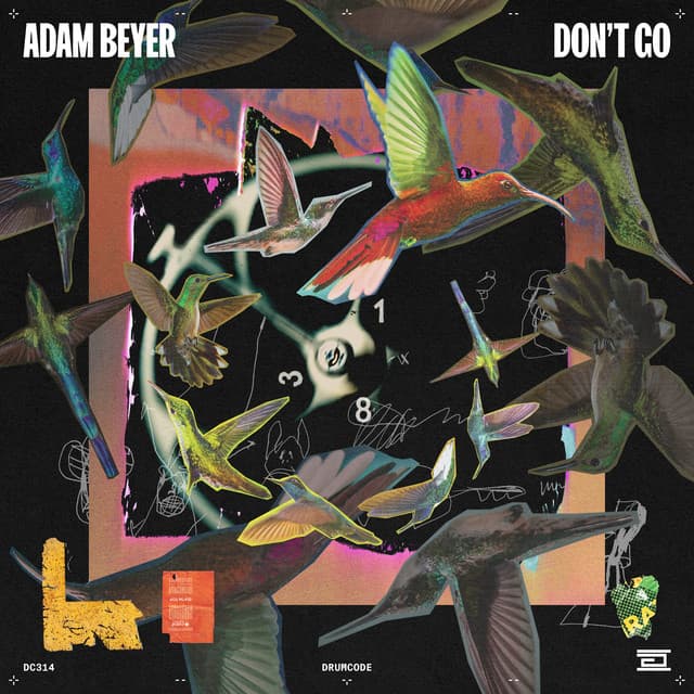 Cover Image of release - Don't Go