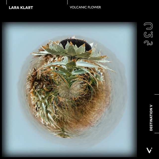 Cover Image of release - Volcanic Flower