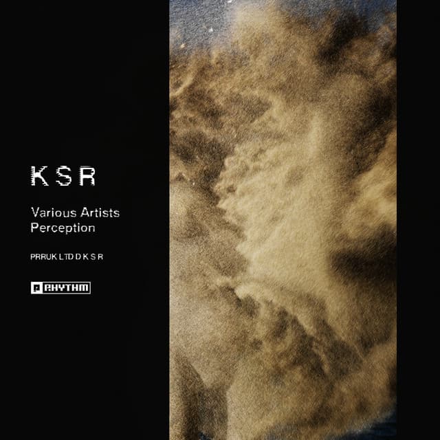 Cover Image of release - Perception