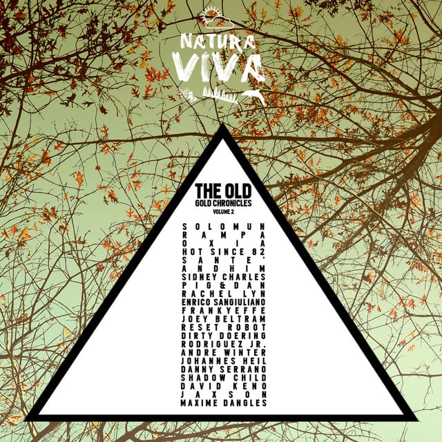 Image of The Old Gold Chronicles, Vol. 2