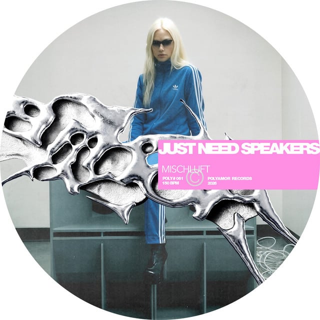 Image of Just Need Speakers