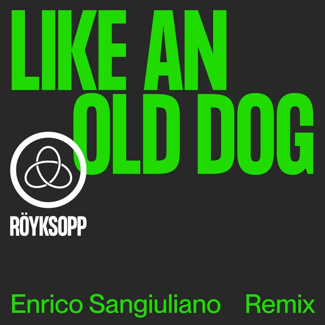 Image of Like An Old Dog (Enrico Sangiuliano Remix)