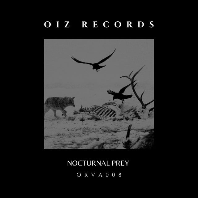 Image of NOCTURNAL PREY