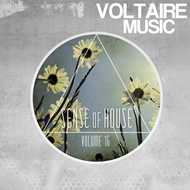 Image of Sense of House, Vol. 16