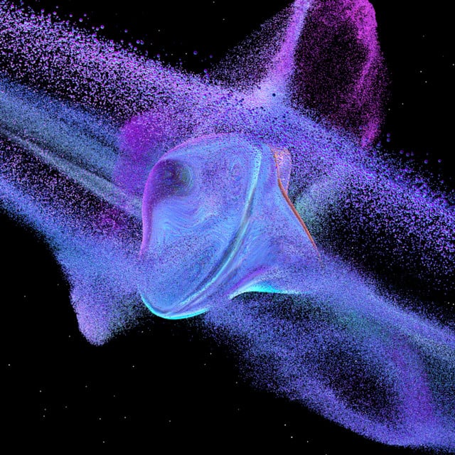 Image of Siamese Anthology VIII