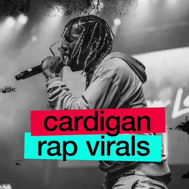 Image of Cardigan - Rap Virals