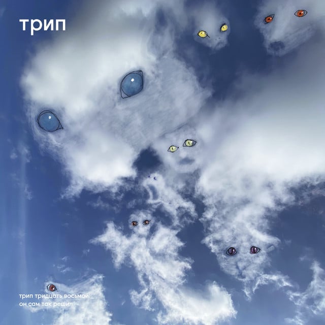 Image of all his decisions