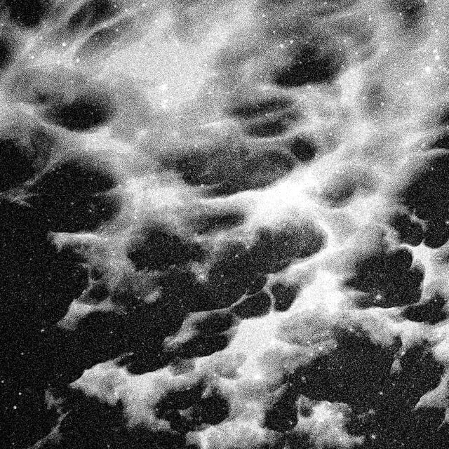 Image of The Harvest