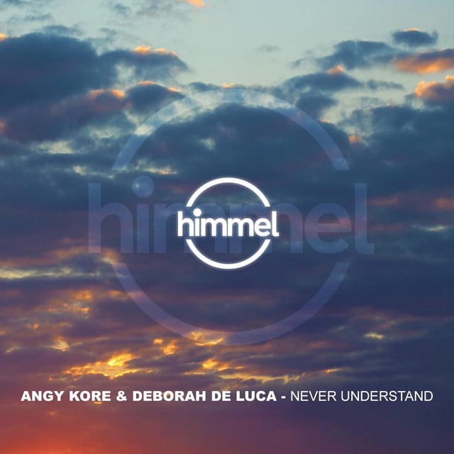 Image of Never Understand