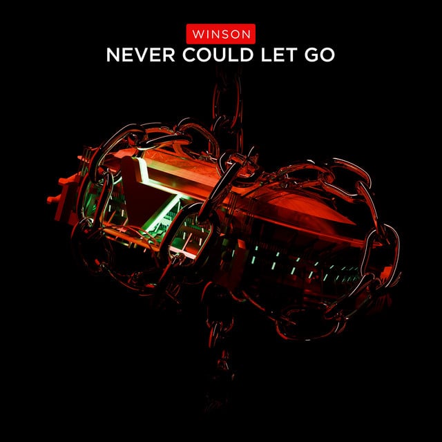 Image of Never Could Let Go