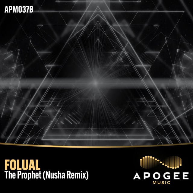 Image of The Prophet (NUSHA Remix)