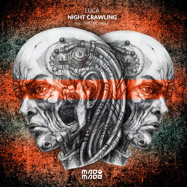 Image of Night Crawling