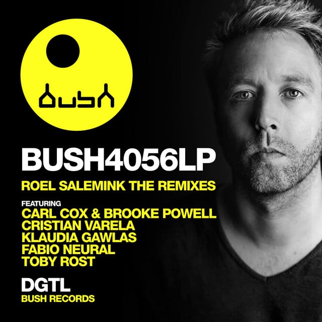 Image of The Remixes