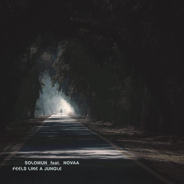 Image of Feels Like A Jungle