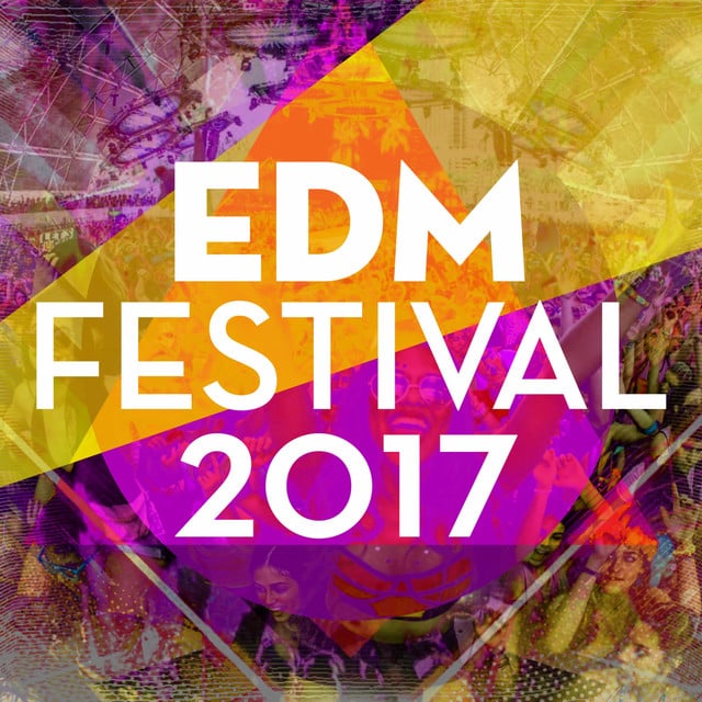 Image of EDM Festival 2017