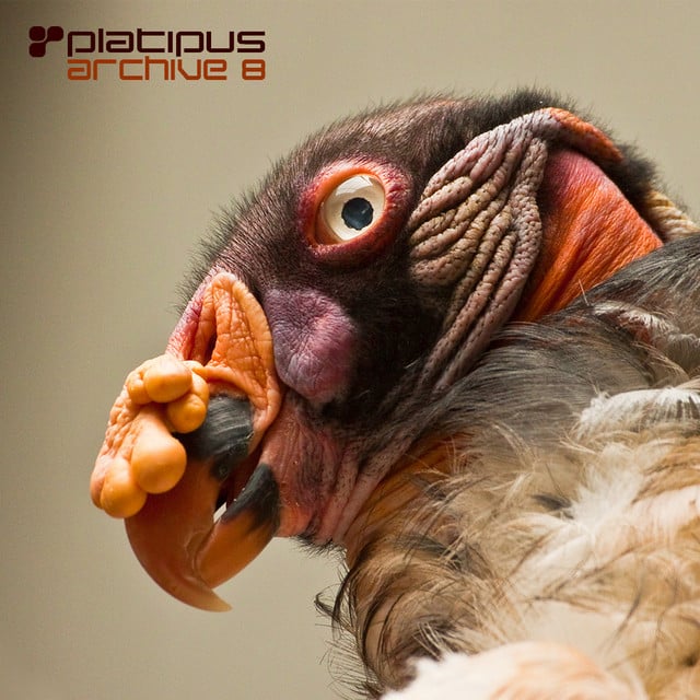 Image of Platipus - Archive 8